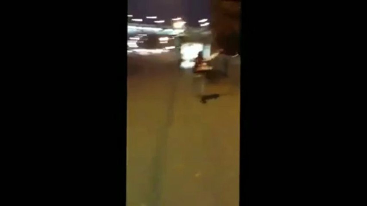 Drunk Girl Vs Bus Stop