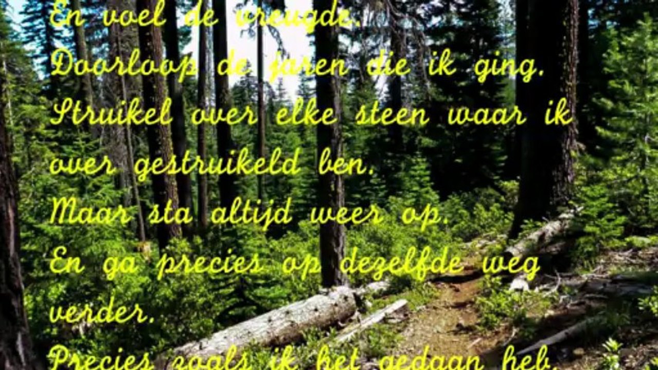 MY WAY (1)