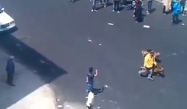 Attaqué après avoir jeté des cailloux à deux chiens