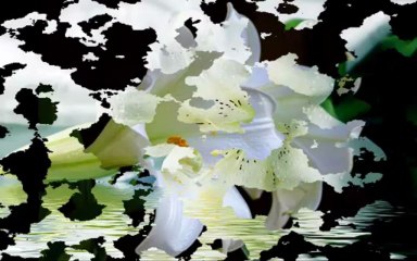 Giorgio Moroder - Love Theme