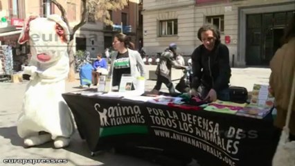 Luchan para terminar con la experimentación con animales