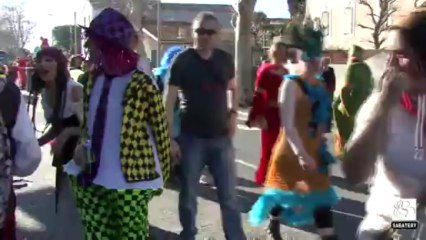 2013 - Vias - Carnaval-1