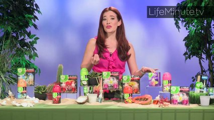 How to Plan the Perfect Staycation