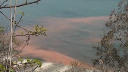 Deniz turuncuya boyandı