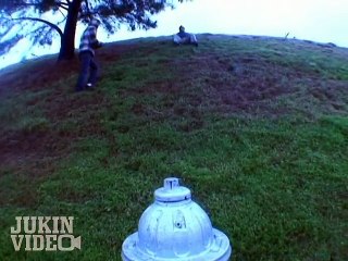 Fire Hydrant Nutshot