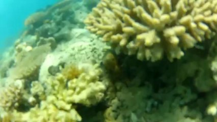 Voyage à Mayotte 2013 - Juste le Paradis sur terre!
