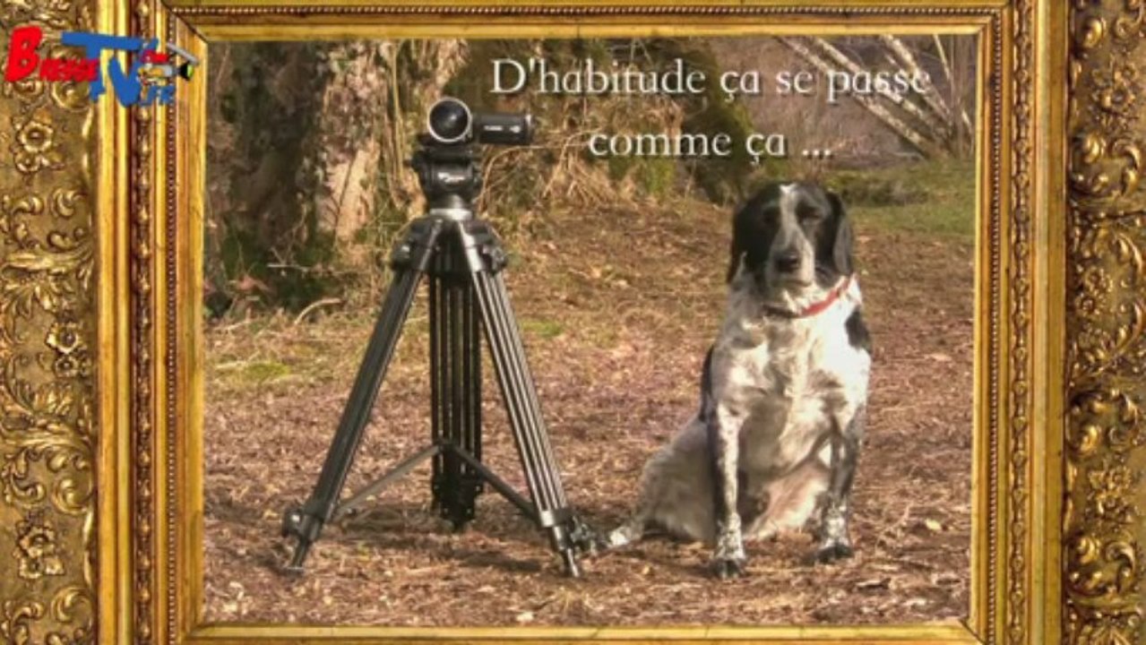 C'est arrivé près de chez moi