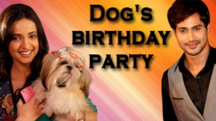 Chhanchhan throws a DOG PARTY and INVITES Manav in Chhanchhan 18th April 2013