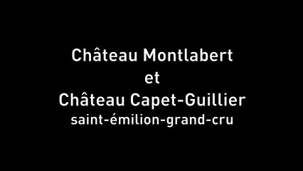 Château Montlabert et Château Capet-Guiller
