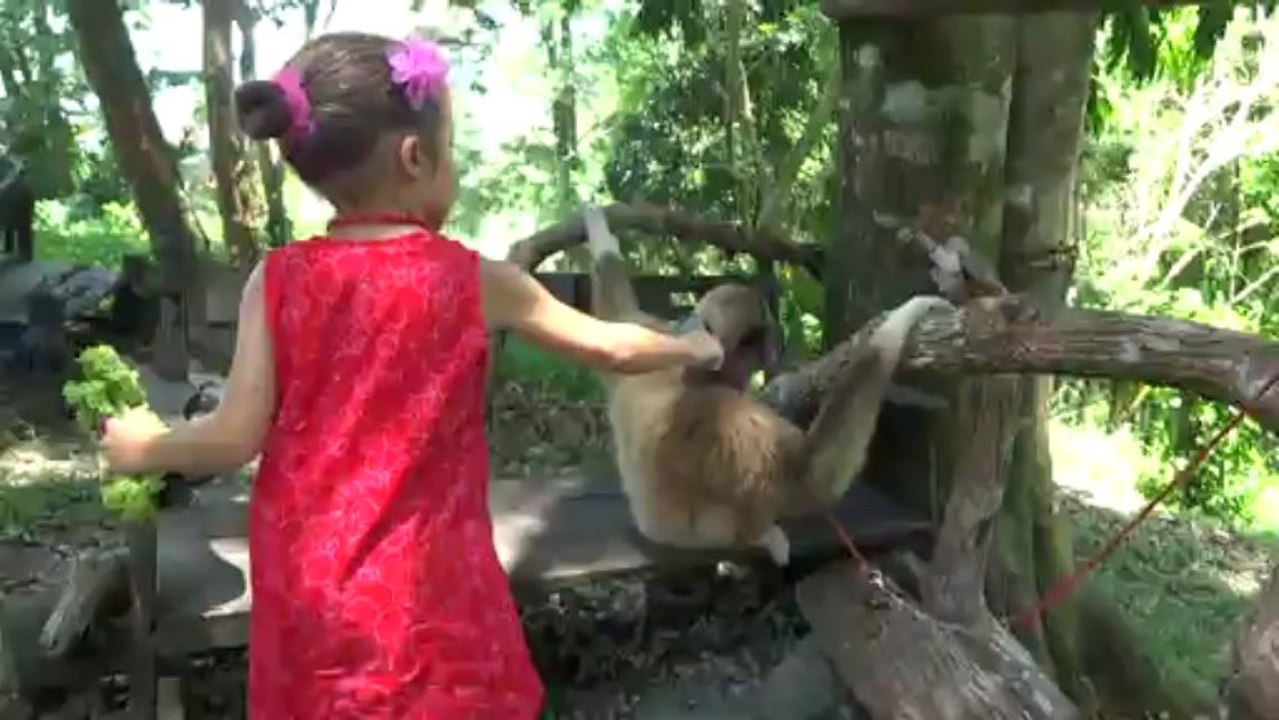 avec Surprise le singe