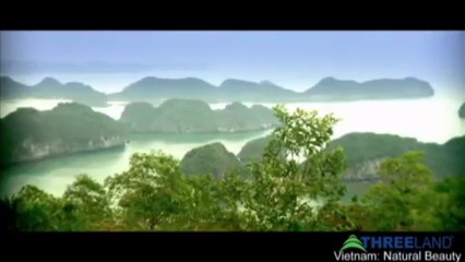 Vietnam Tours: Explore The Natural Beauty