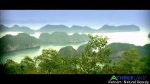 Vietnam Tours: Explore The Natural Beauty