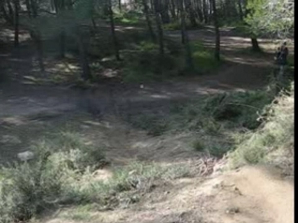 vinceSRF2006