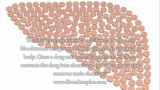 Liver Disease Caused By Drug Use - Side Effects Of Drugs On The Liver?