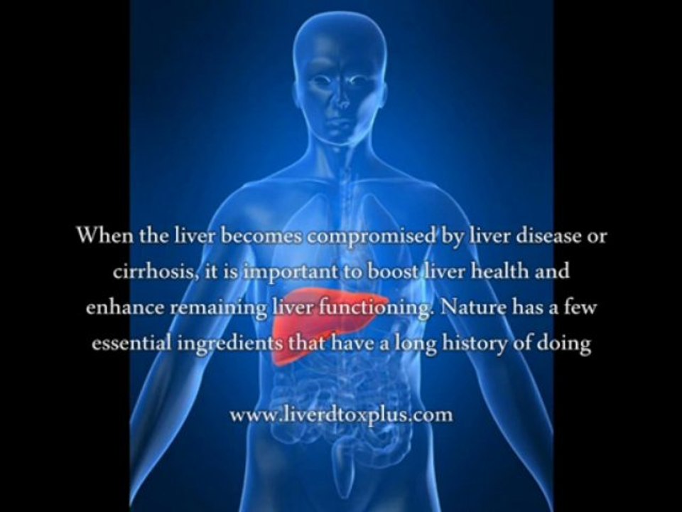 Liver Repair Drug - What Is The Best Drug For Liver Disease?