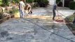 Beautiful New Driveway by A Better Paver: The Leading Paver Company in Altamonte Springs FL