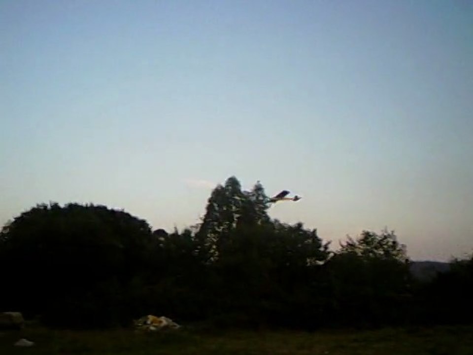 Primer vuelo Bicho