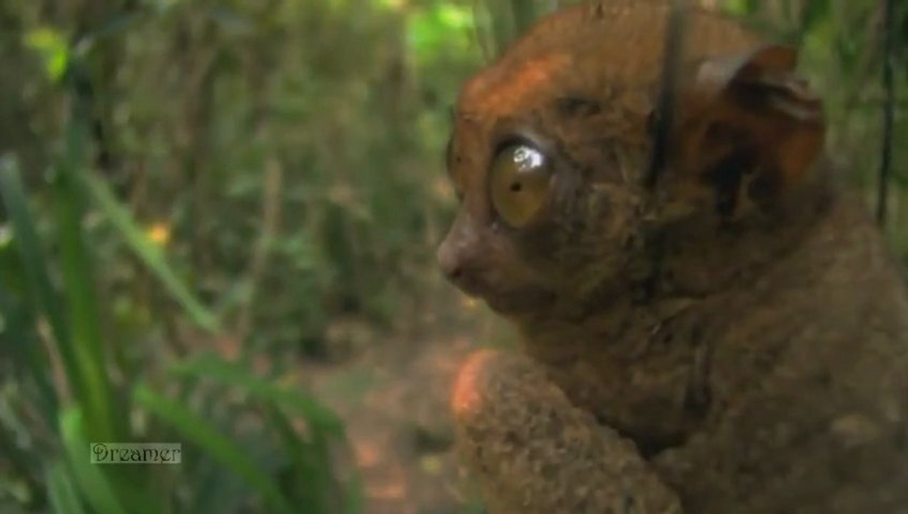 S26 ep 12 (1)