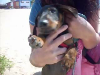 Marina Repetta e il suo cucciolo merlino