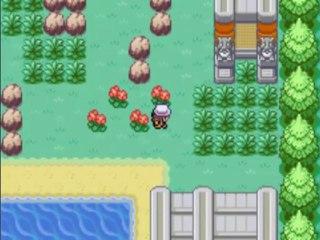 Pokemon rf-vf 31 - ligue pokemon me voila