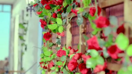 Roy Kim -BOM BOM BOM