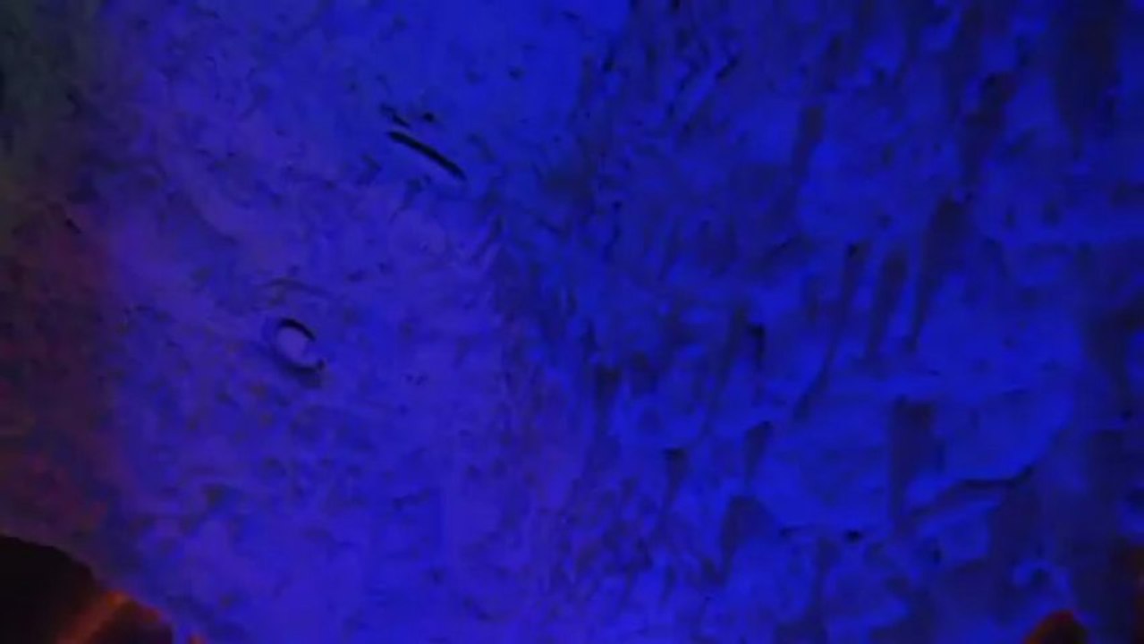 HYDROTERAPIA - OLESKA LAGUNA