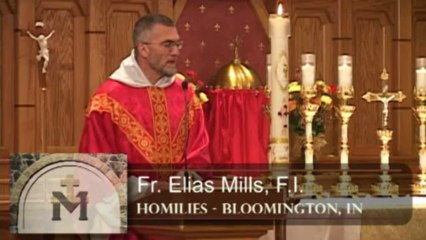 Apr 25 - Homily: St Mark and Perseverance