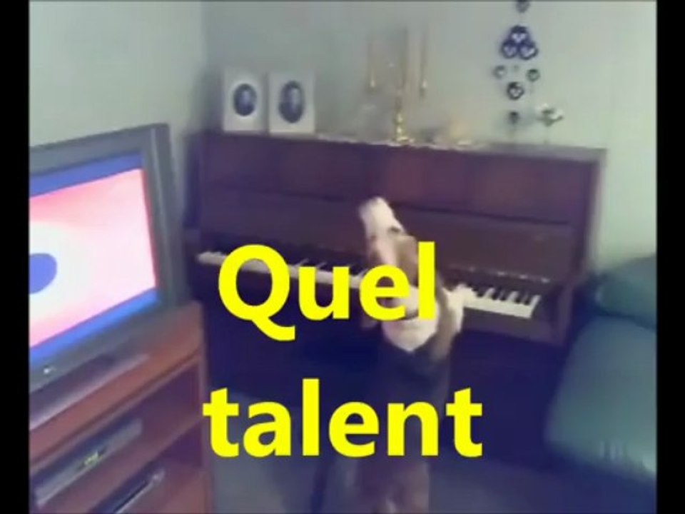 Un avant goût avant la sortie de son prochain album