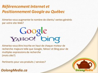 Service de référencement Internet (Seo)