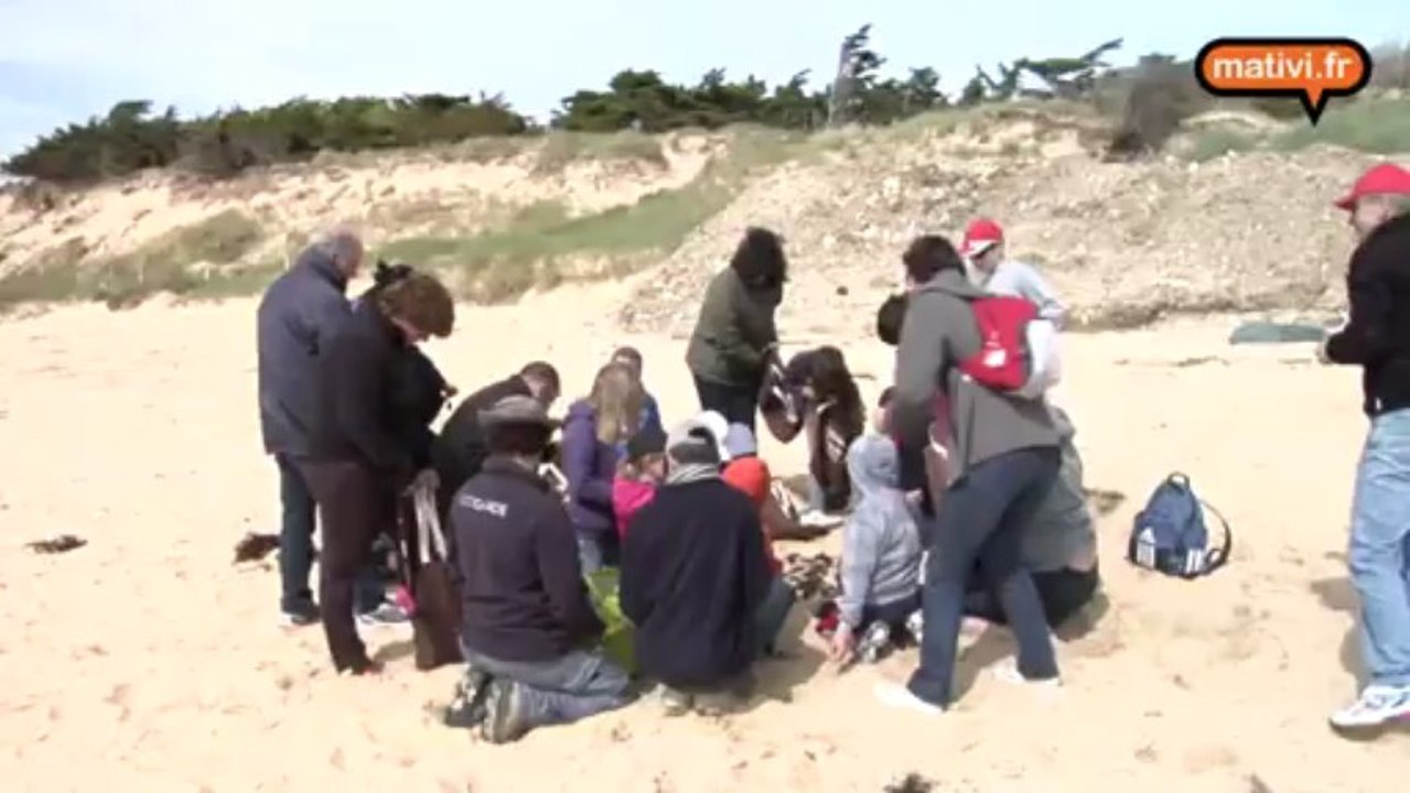 A la recherche des oeufs de raie