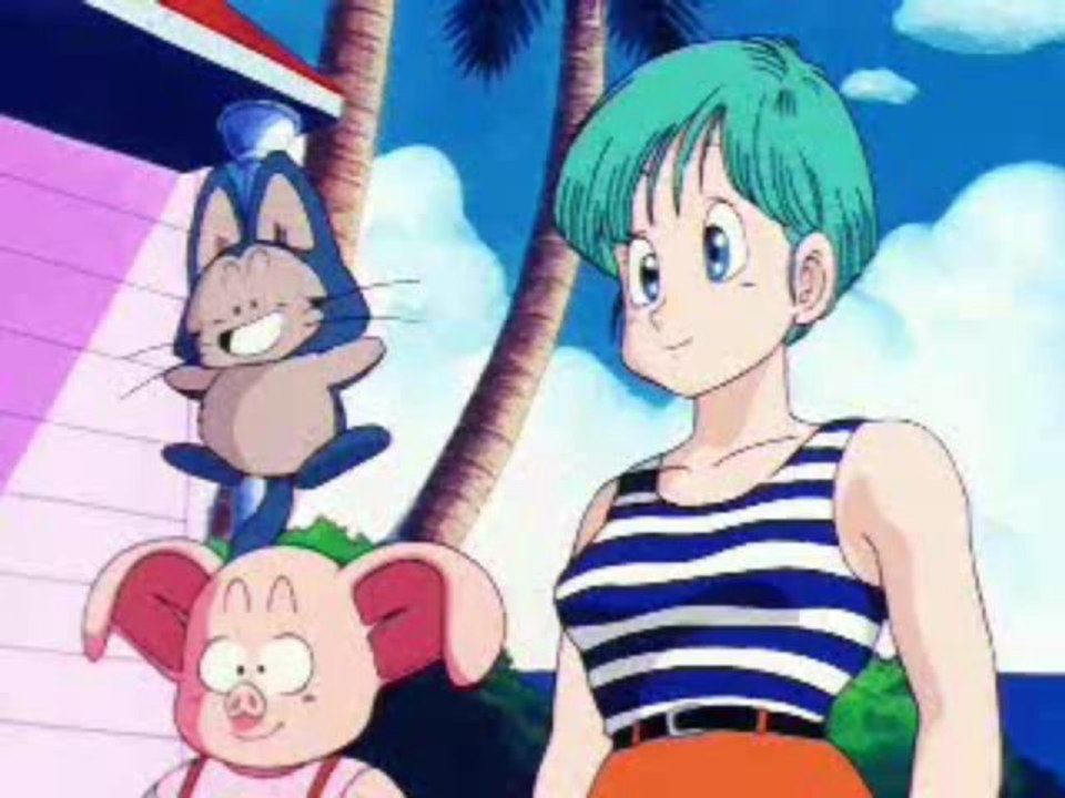 Bola de Drac El Geni Tortuga celebra su cumpleaños