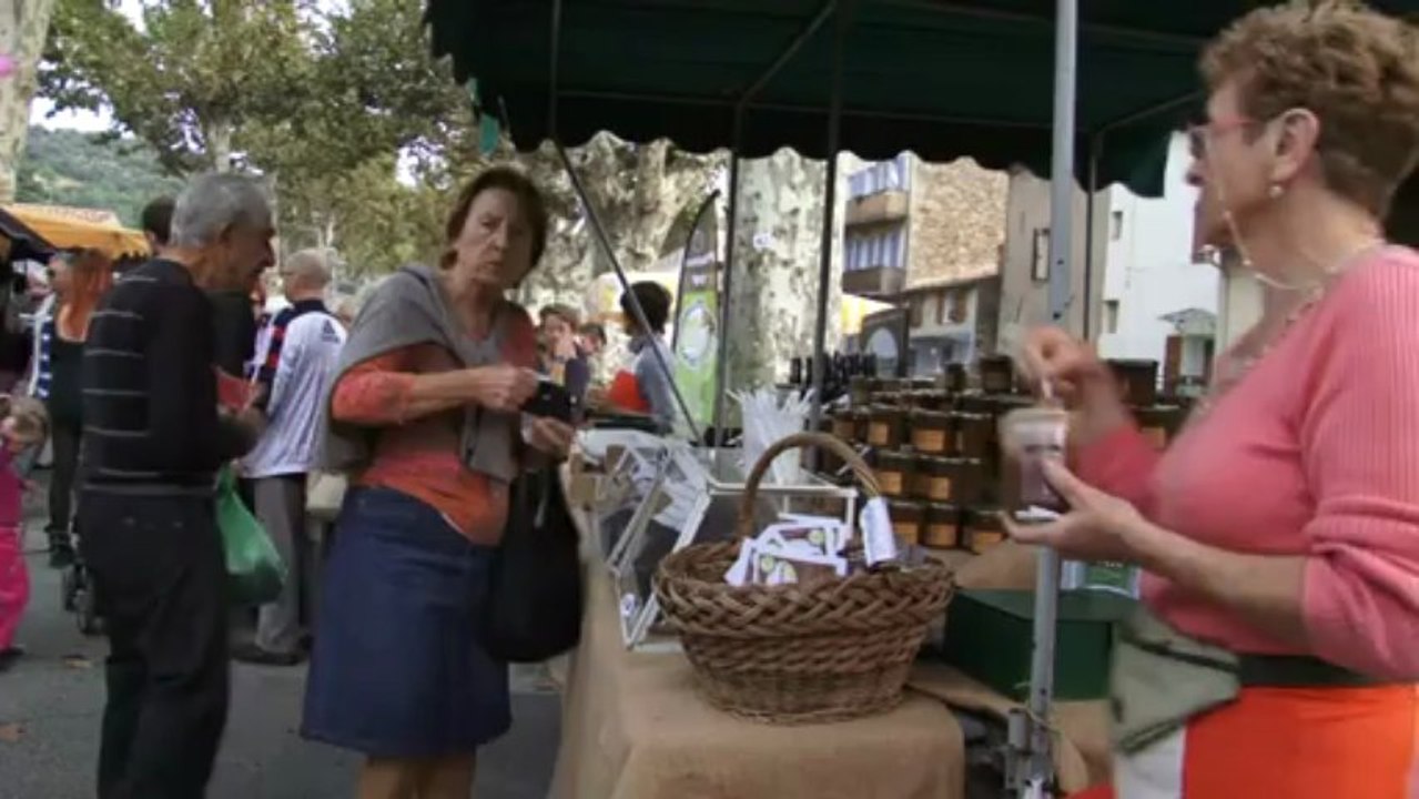 Film SPCV Version Finale(1)_1