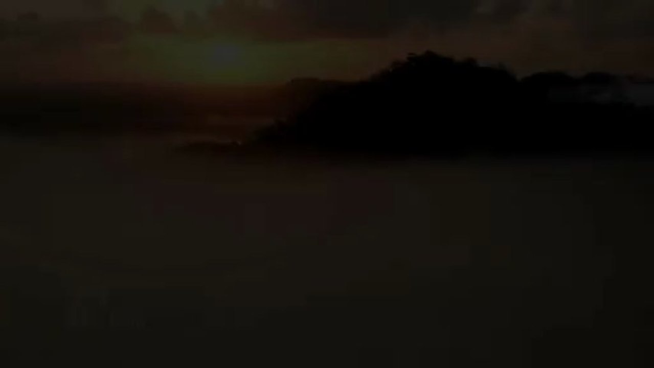Bionique Trailer