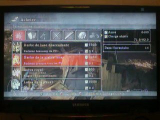 Demon's souls Partie 13