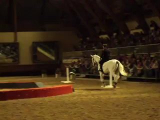 Le saut des piquets