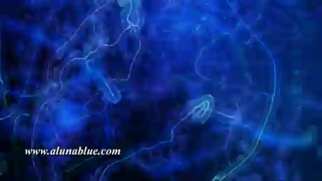 Video Backgrounds - Animated Backgrounds - Video Loops - A Luna Blue