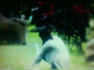 SỬA MÁY GIẶT TẠI NGUYỄN TRÃI  0936.228.867