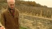 Les climats de Bourgogne: Aubert De VILLAINE Interview 1