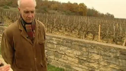 Les climats de Bourgogne: Aubert De VILLAINE Interview 1