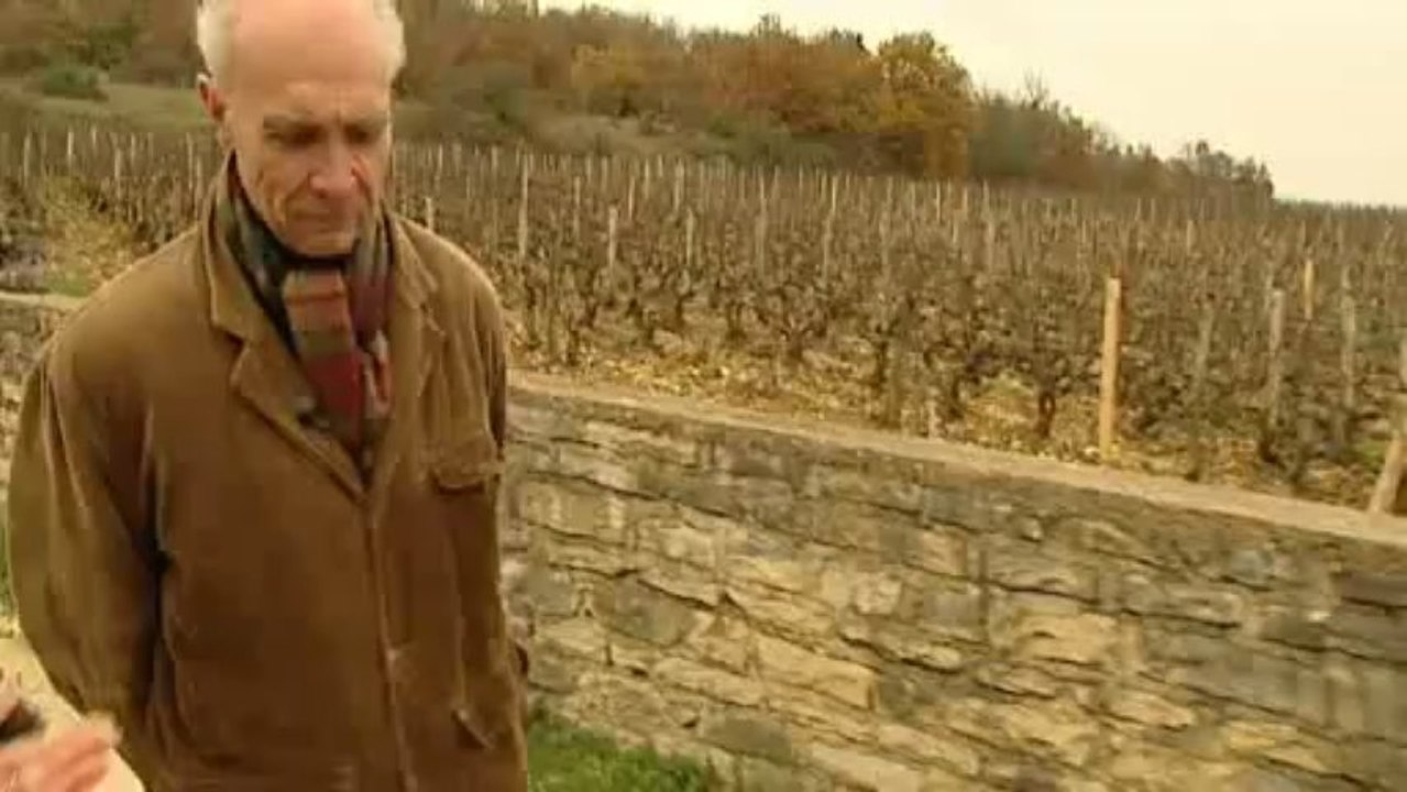 Les climats de Bourgogne: Aubert De VILLAINE Interview 1