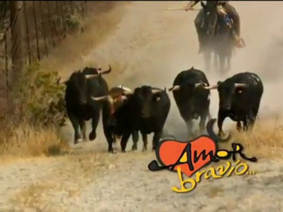 Trailer AB (2012)