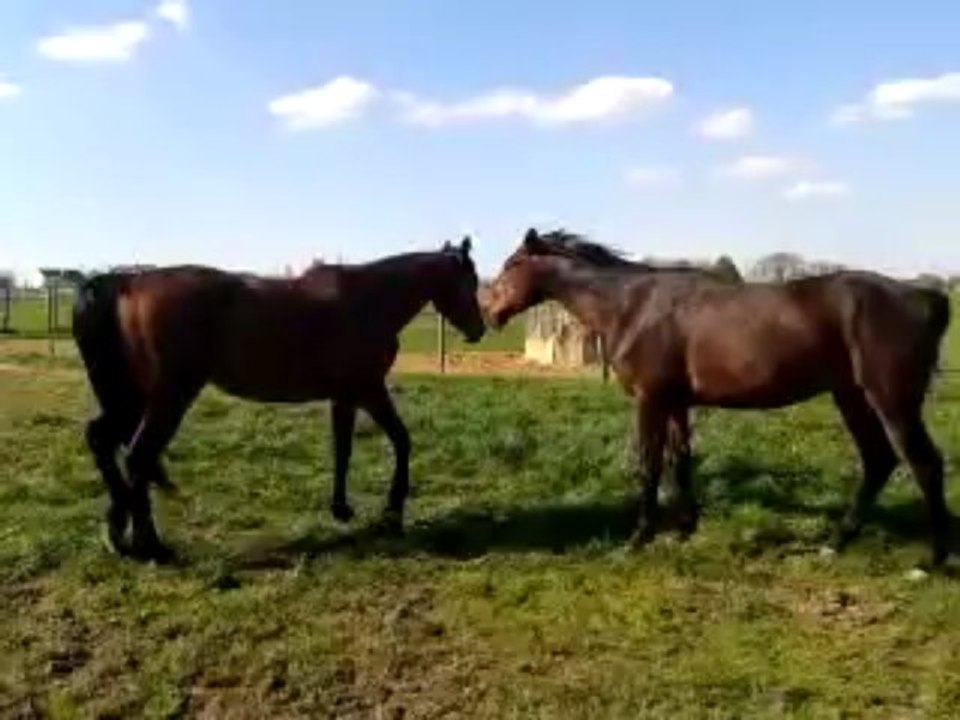 Véloce & Urus 2013-04-25