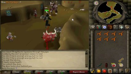Runescape 2007 Mage/Range Training Guide