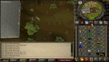 The 2k7 Experience - Botting vs. No Lifing