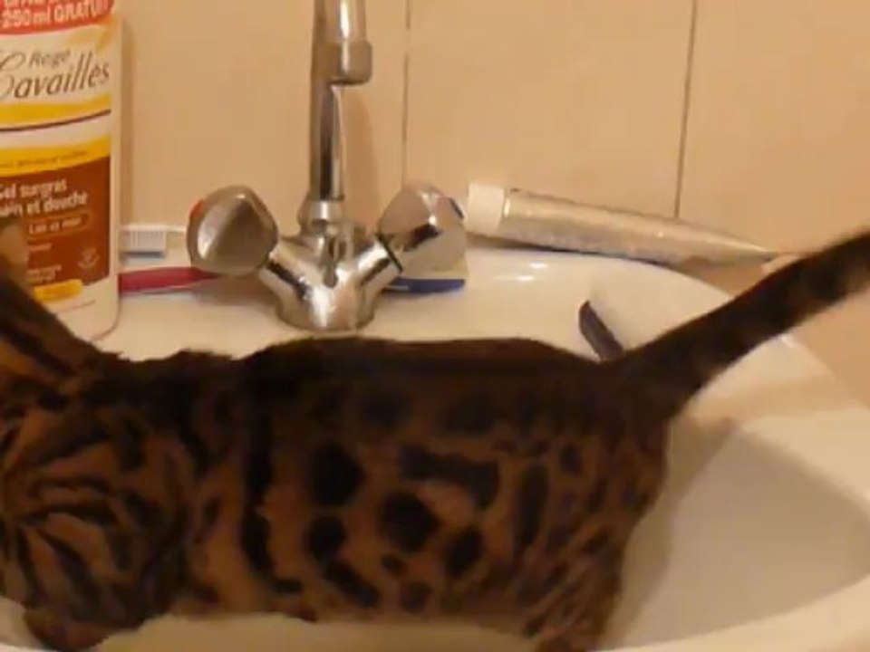 HINDIA ET L EAU