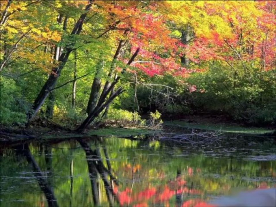 Vuslat Ayrılık Acısı Fon Müzik