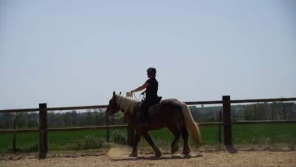 vasco trot 1