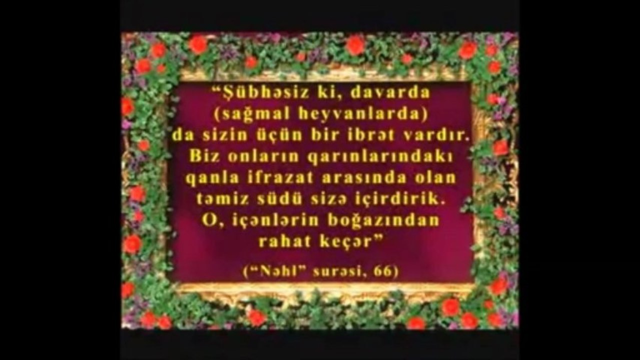 Dənizlərdəki Qaranlıq Daxili Dalğalar