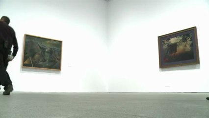 Salvador Dali show lights up Madrid museum