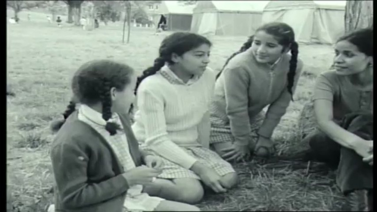 "50 ans de présence marocaine en Belgique."
